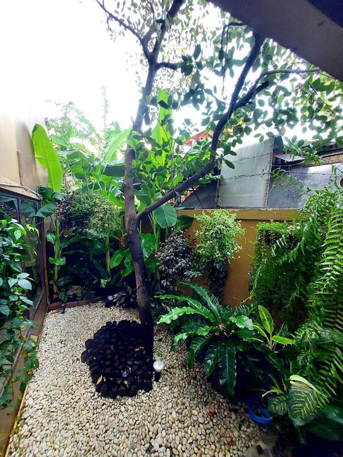 Traveller Inn Hotel Chiang Mai Eksteriør billede